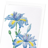 Butterfly flower  (Pack of 8 cards)