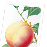 Peach No.1 (Pack of 8 cards)