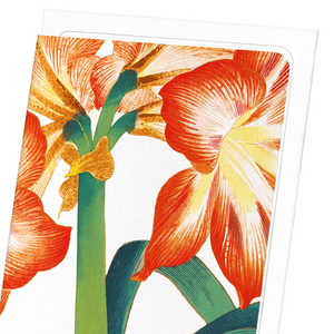 Amaryllis (Pack of 8 cards)