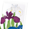 Iris (Pack of 8 cards)