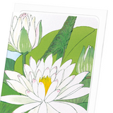 Water lily (Pack of 8 cards)