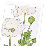 Poppy (Pack of 8 cards)