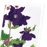 Aquilegia (Pack of 8 cards)