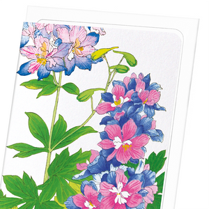 Delphinium flowers (Pack of 8 cards)