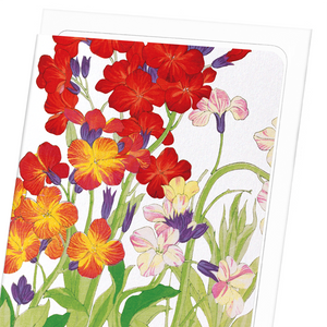 Wallflower (Pack of 8 cards)