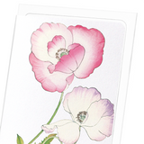 Pink and purple poppy (Pack of 8 cards)