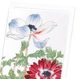 Blue and red anemone (Pack of 8 cards)