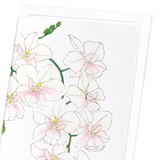 Orchid (Pack of 8 cards)