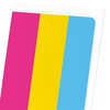 Pansexual pride flag (Pack of 8 cards)