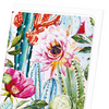 Cacti flowers : 8 cards