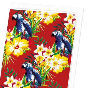 Parrot messenger : 8 cards