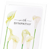 Calla lily of sympathy : 8 cards