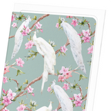 White peacocks : 8 cards