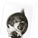 Curled up sleeping cat (1825) : 8 cards