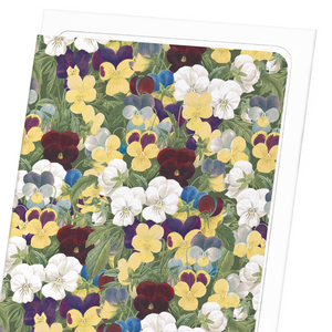 Pansies : 8 cards