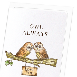 Owl always love you : 8 cards