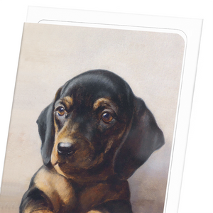 Young dachshund  : 8 cards