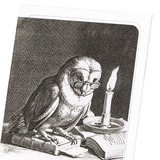 Wise owl (1625) : 8 cards