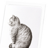 Sitting cat (1815) : 8 cards