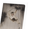 Monkey and bamboo (Pack of 8 cards)