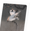 Waxwing birds (Pack of 8 cards)