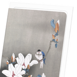 Bird on magnolia (Pack of 8 cards)