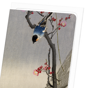 Bullfinch bird (Pack of 8 cards)