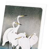 Herons in the winter (Pack of 8 cards)