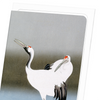 Couple of cranes (Pack of 8 cards)