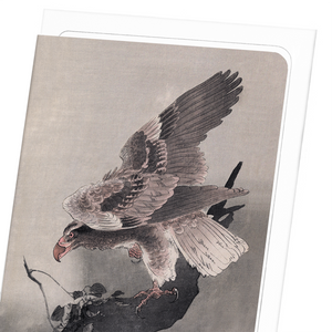 Eagle and tree (Pack of 8 cards)