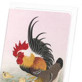 Rooster hen (Pack of 8 cards)