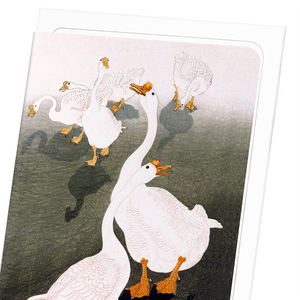 Geese (Pack of 8 cards)