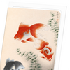 Goldfish (Pack of 8 cards)