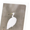 Wading egret (Pack of 8 cards)