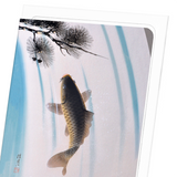 Carp and waterfall (Pack of 8 cards)