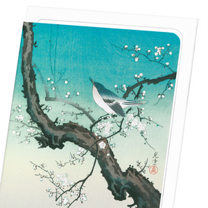 Bush warbler and plum blossoms (Pack of 8 cards)