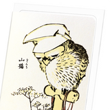 Mountain owl (Pack of 8 cards)