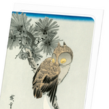 Owl (Pack of 8 cards)