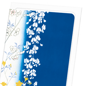 Wisteria and blossoms (Pack of 8 cards)