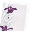 Purple iris design (Pack of 8 cards)