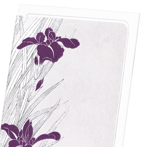 Purple iris design (Pack of 8 cards)