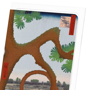 Pine at ueno (Pack of 8 cards)