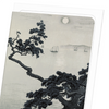 Pine at akashi (Pack of 8 cards)