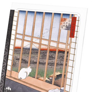 Asakusa rice fields cat (Pack of 8 cards)