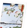 Sumida river (Pack of 8 cards)