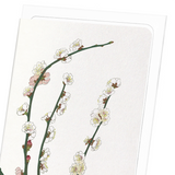 Plum blossom (Pack of 8 cards)