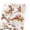 Cherry blossom flowers (Pack of 8 cards)