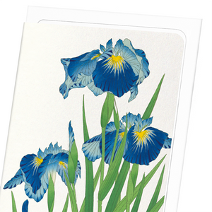 Blue iris (Pack of 8 cards)