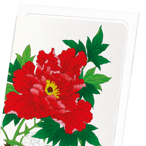 Red peony (Pack of 8 cards)