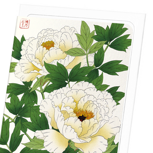 White peony (Pack of 8 cards)